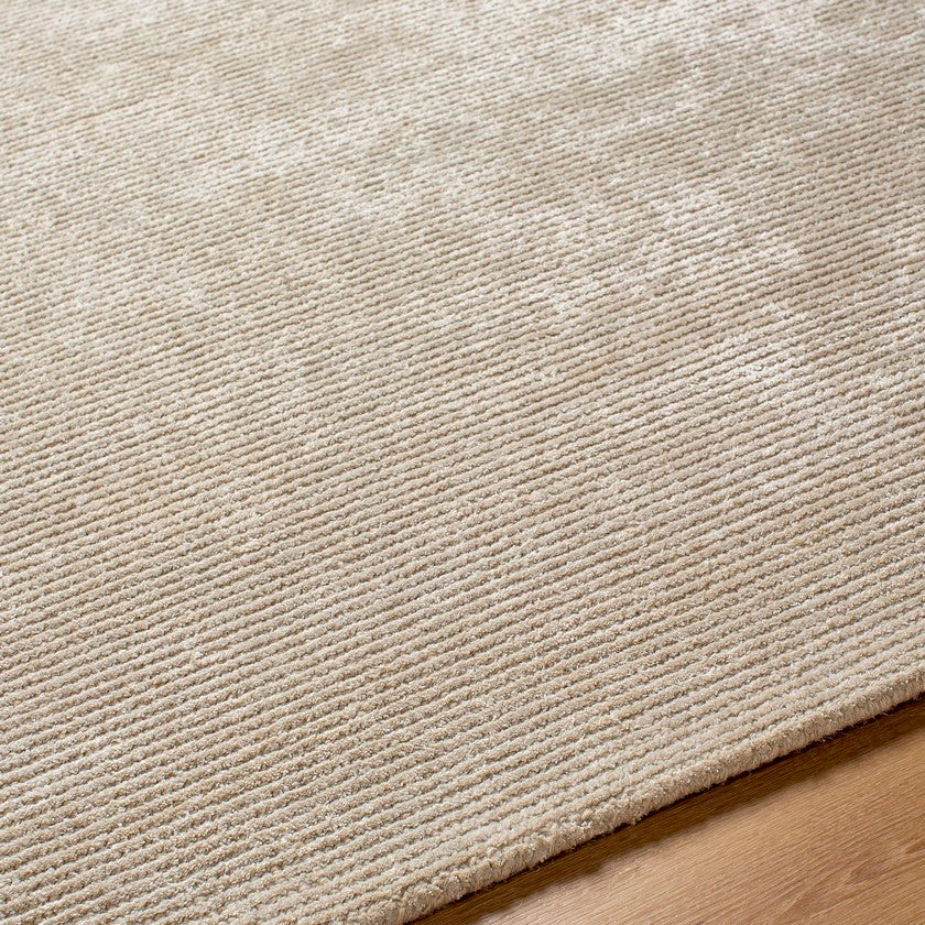 Jett Solid and Border Light Brown Area Rug