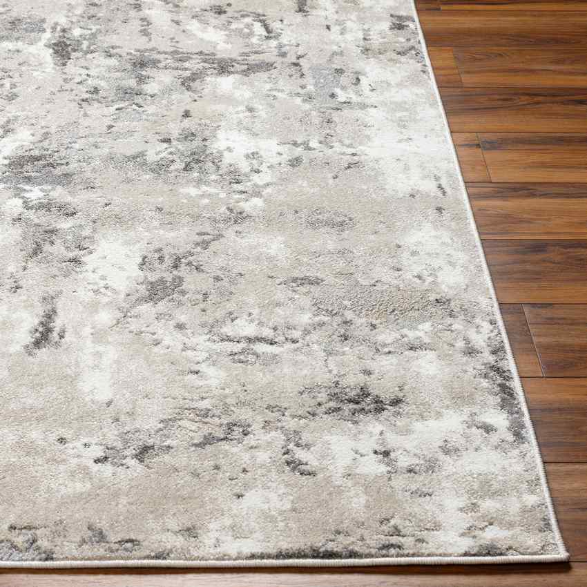 Susy Modern Tan Area Rug