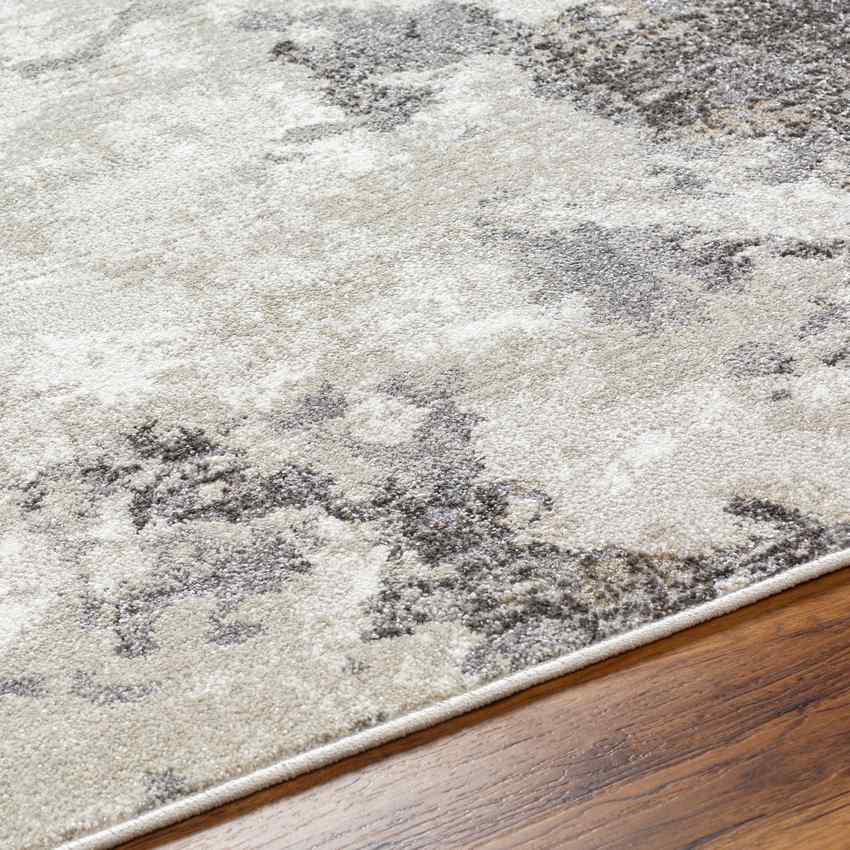 Syrena Modern Medium Gray Area Rug