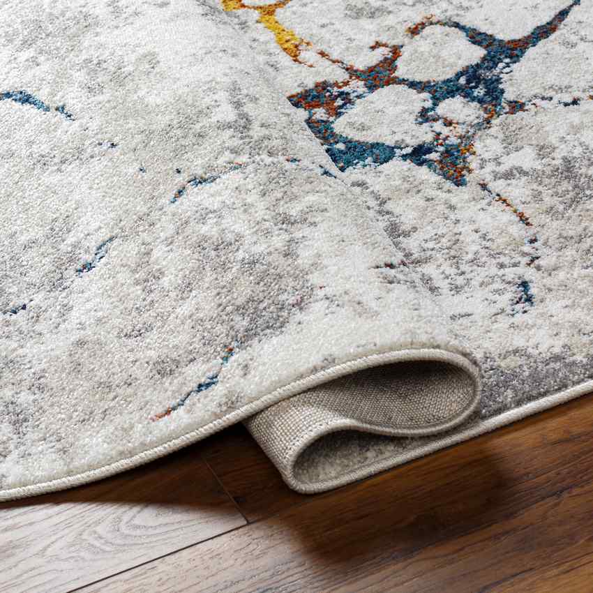 Caraline Modern Light Gray Area Rug