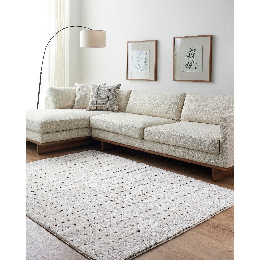 Haily Modern Ivory/Brown Area Rug