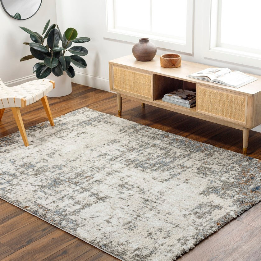 Denee Modern Medium Gray Area Rug