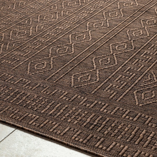 Benjaman Bohemian Brown Area Rug