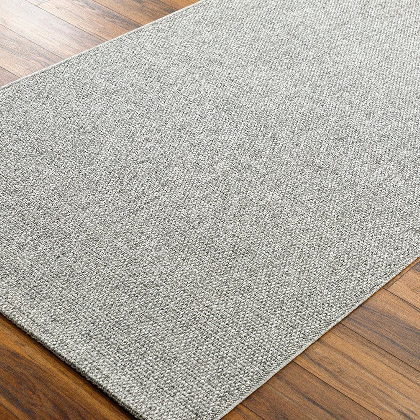 Nalani Solid and Border Silver Area Rug