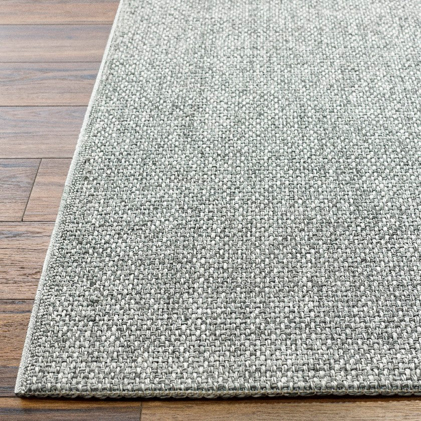 Nalani Solid and Border Silver Area Rug