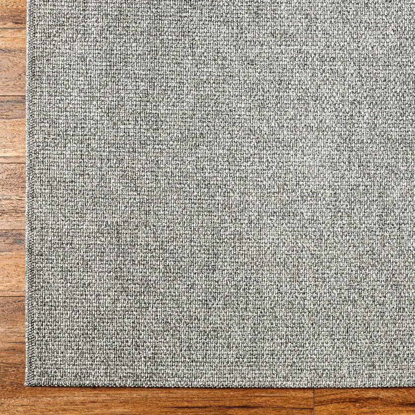 Nalani Solid and Border Silver Area Rug