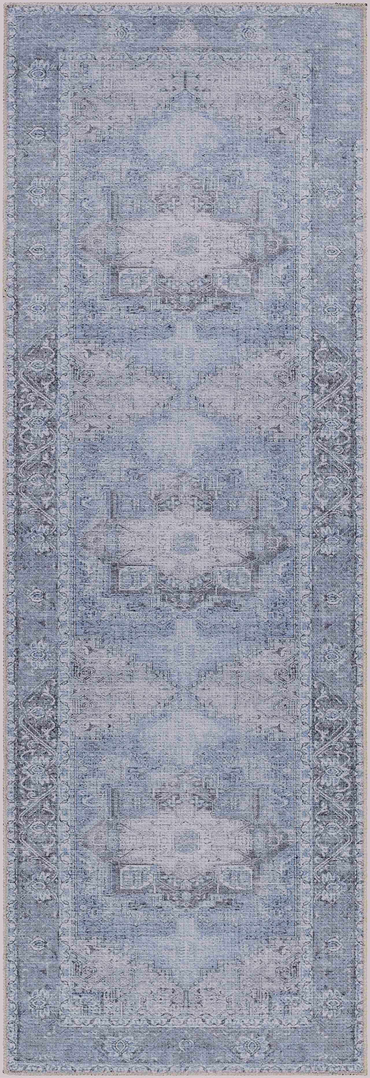 Aqua Rosman Washable Area Rug - Clearance