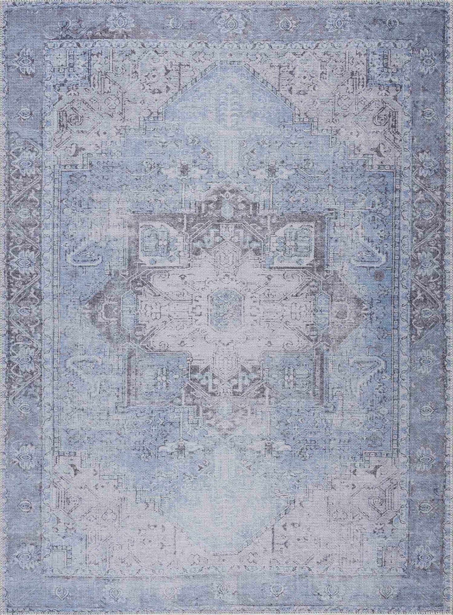 Aqua Rosman Washable Area Rug - Clearance