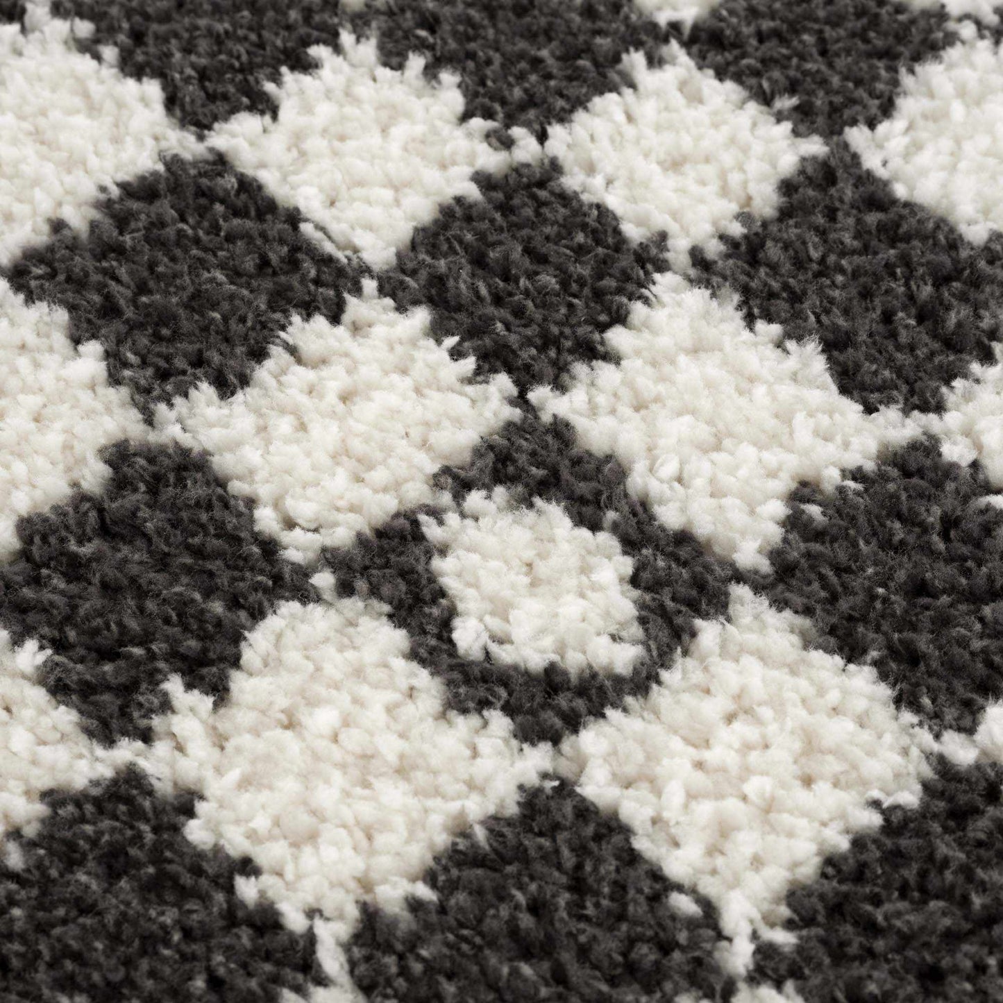 Kieu Black & White Checkered Area Rug