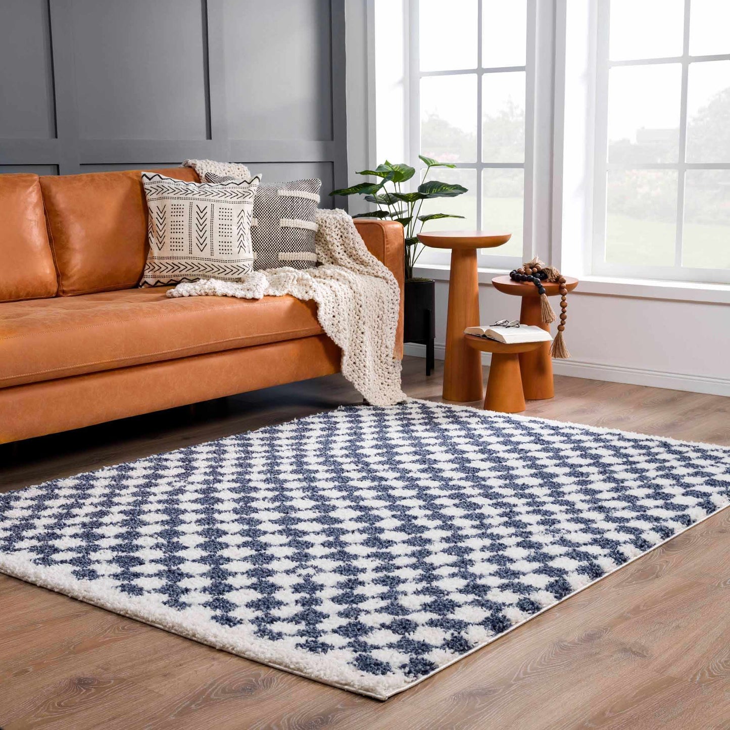 Kieu Blue & White Checkered Area Rug