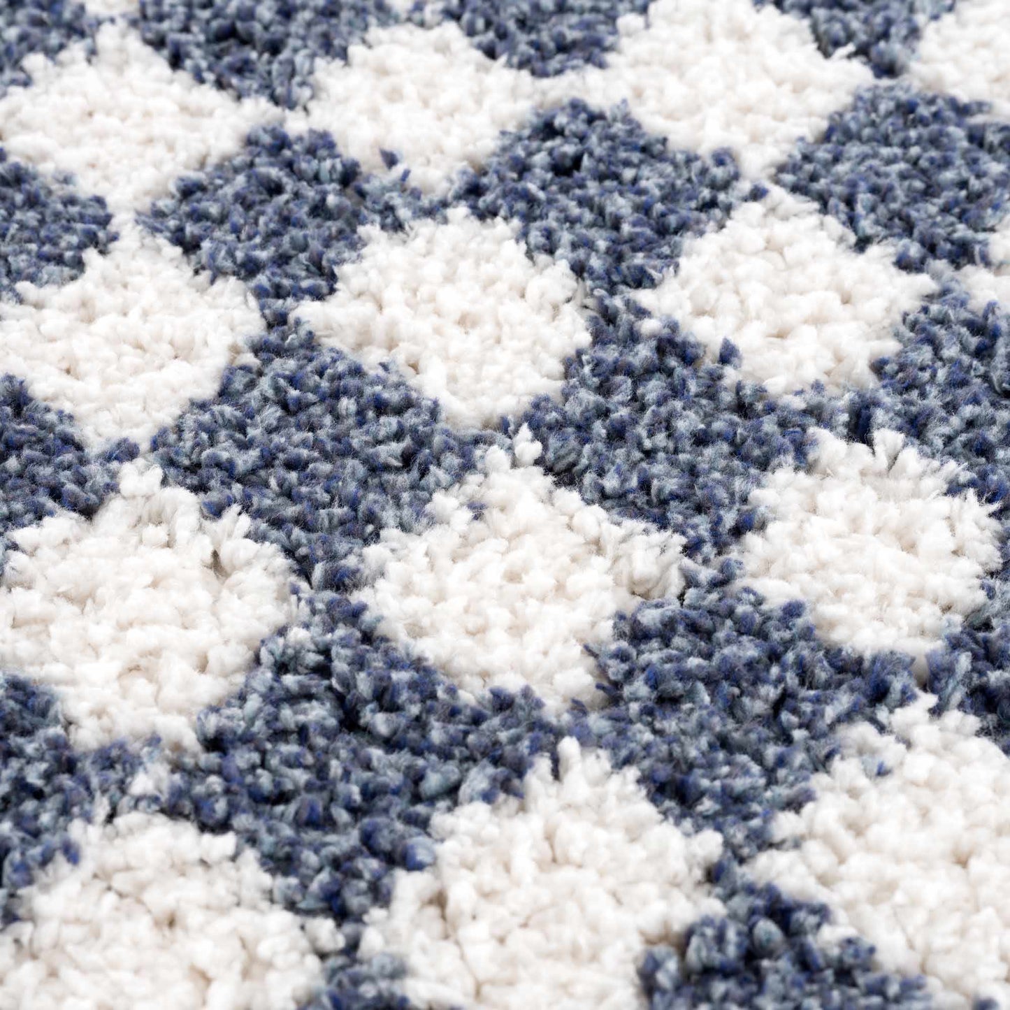 Kieu Blue & White Checkered Area Rug