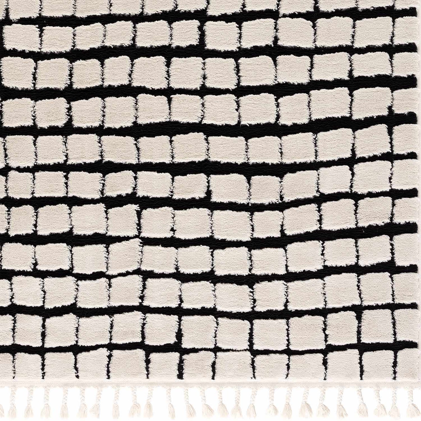 Teshi Checkered Area Rug