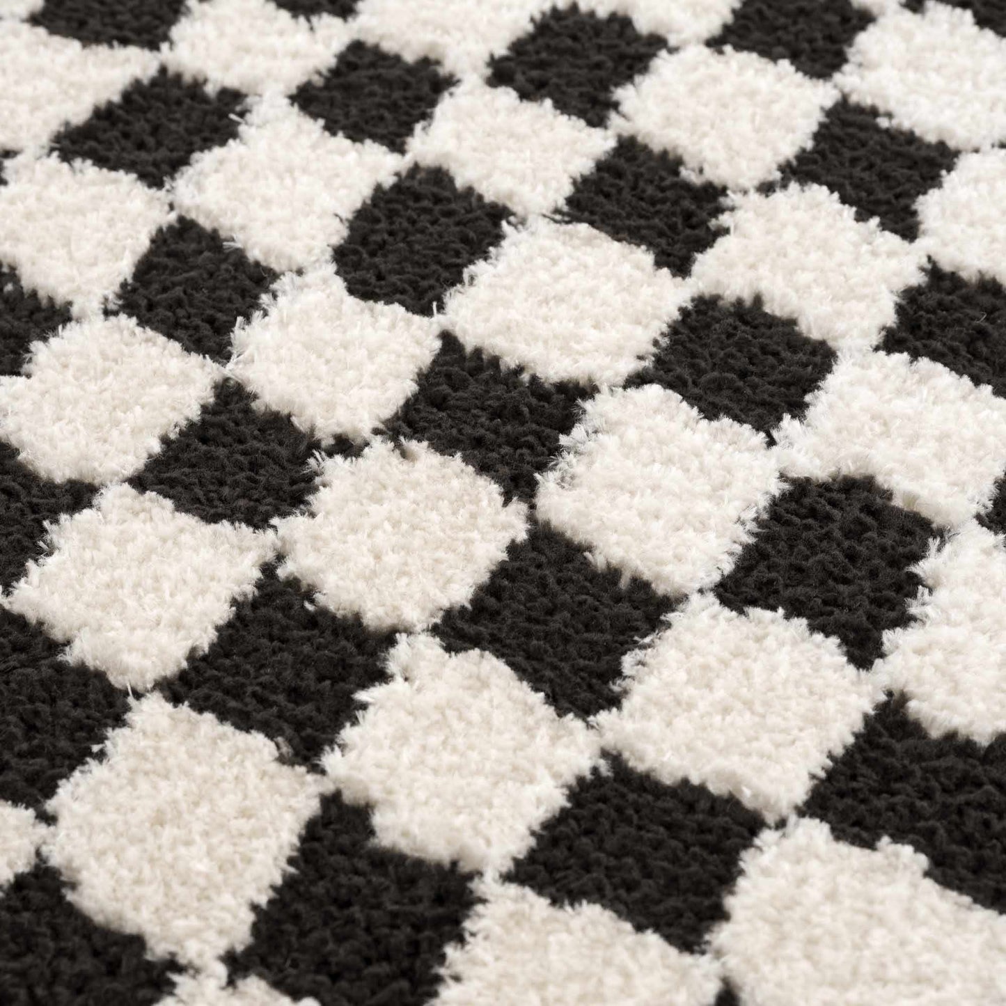 Leryn Black & White Checkered Area Rug