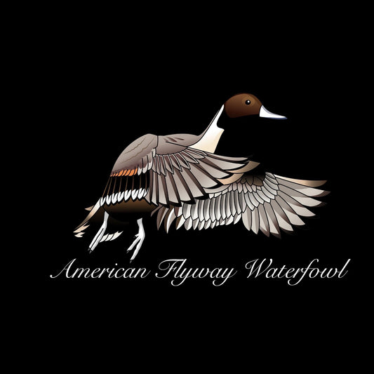 PINTAIL STICKER