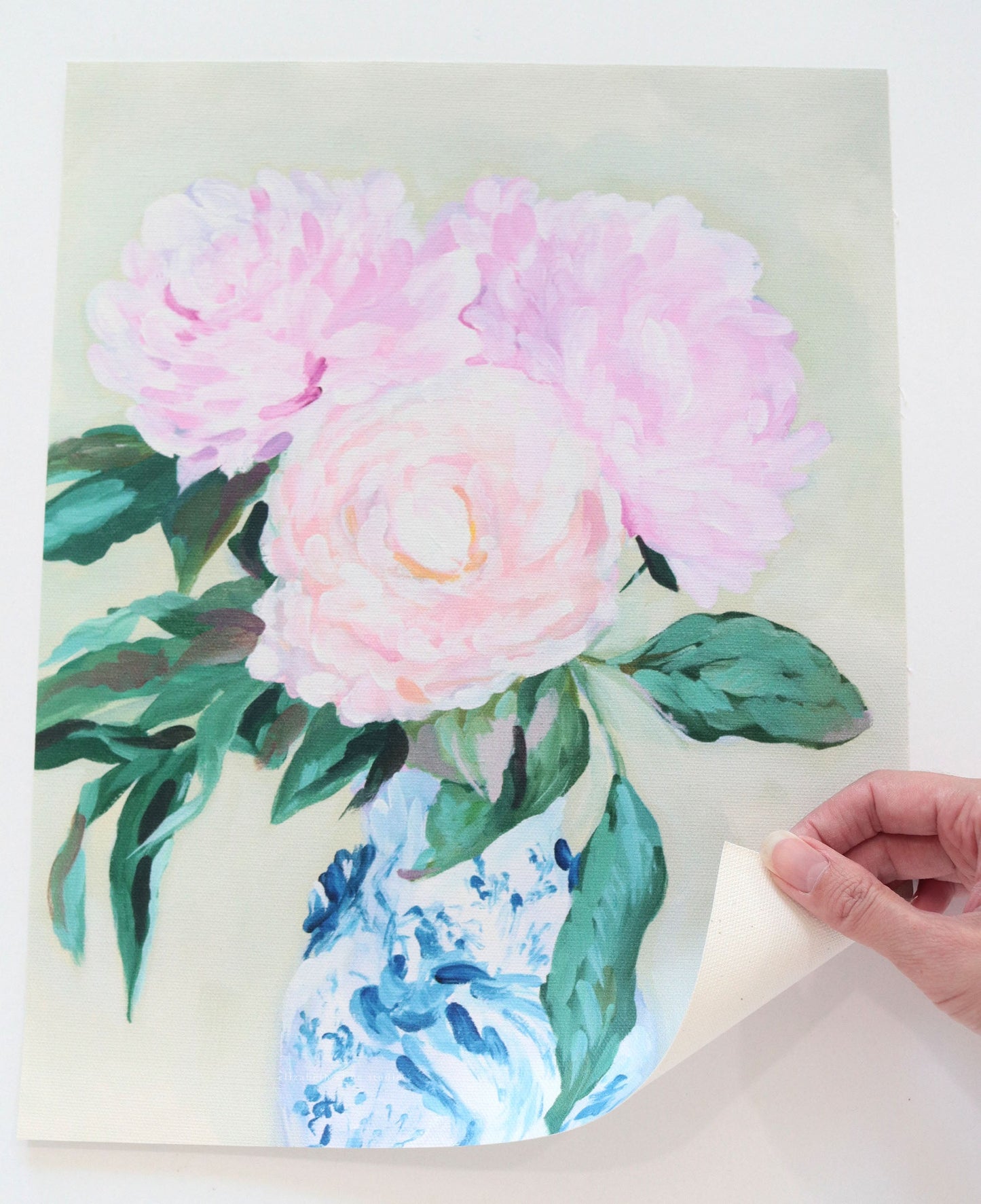 Peony fine art print on canvas