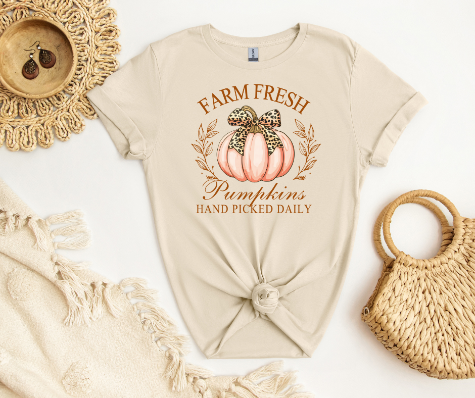 Amelia Kates - Farm Fresh Pumpkins Bow