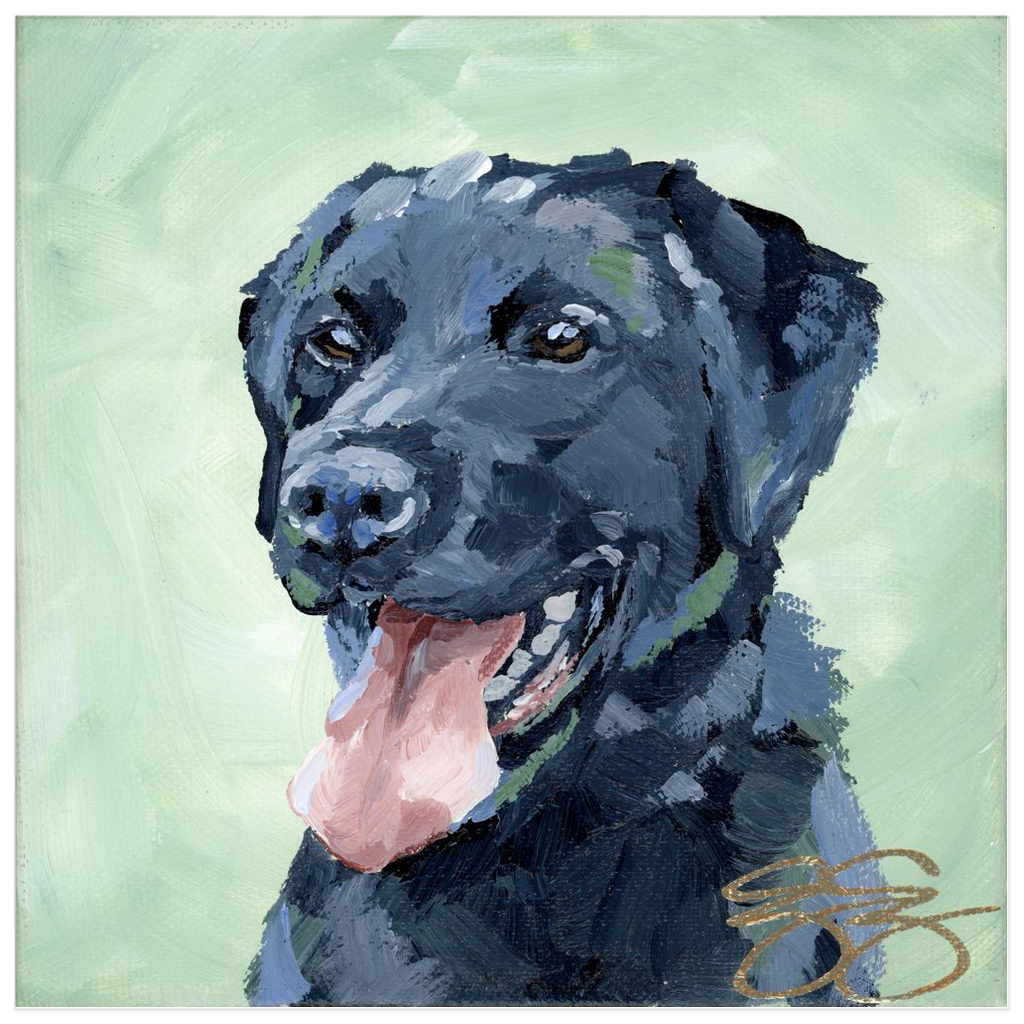 Black Lab, a fine art print on paper