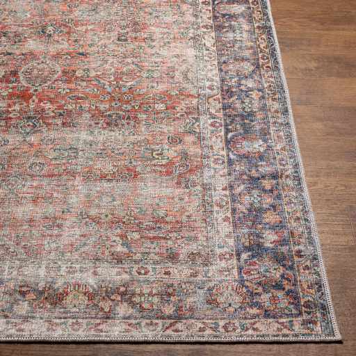 Anahawan Persian Style Washable Area Rug - Clearance