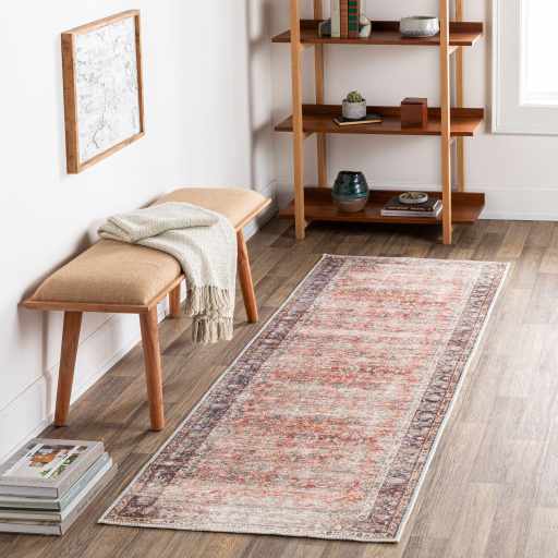 Anahawan Persian Style Washable Area Rug - Clearance