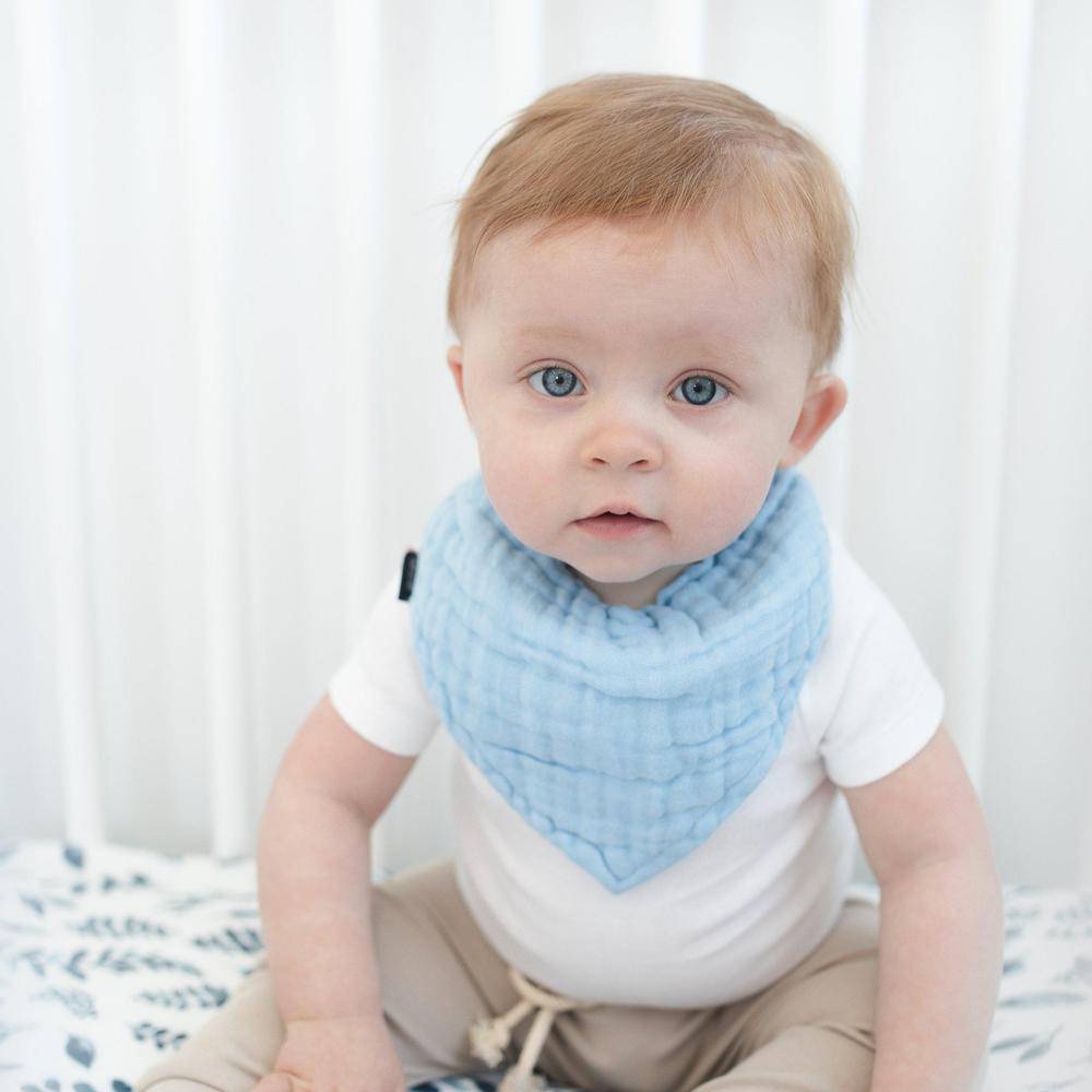 Blue Leaves + Cornflower Bandana Bib Set