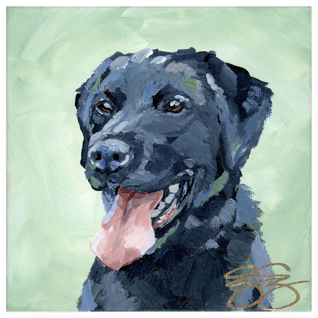 Black Lab, a fine art print on paper