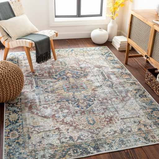 Blue Catigpian Distressed Washable Area Rug - Clearance