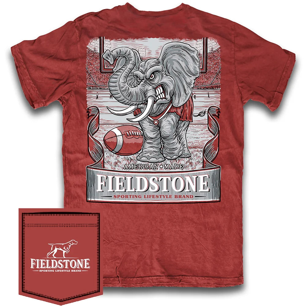 Fieldstone Youth Alabama Game Day Tee