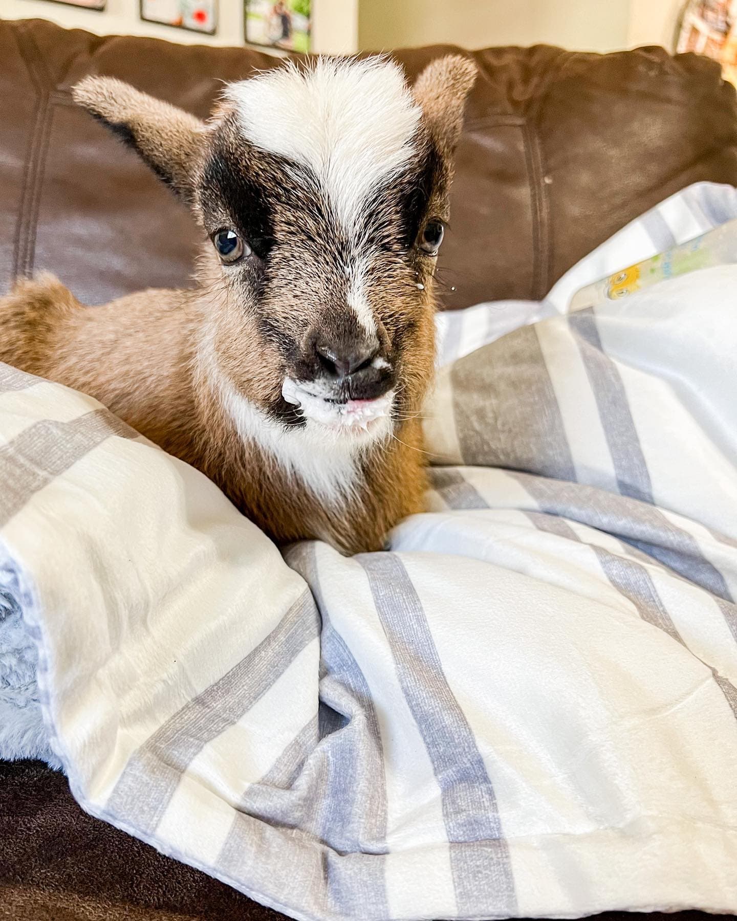 Farmhouse Stripe Reversible Soft & Plush Oversized Baby Blanket