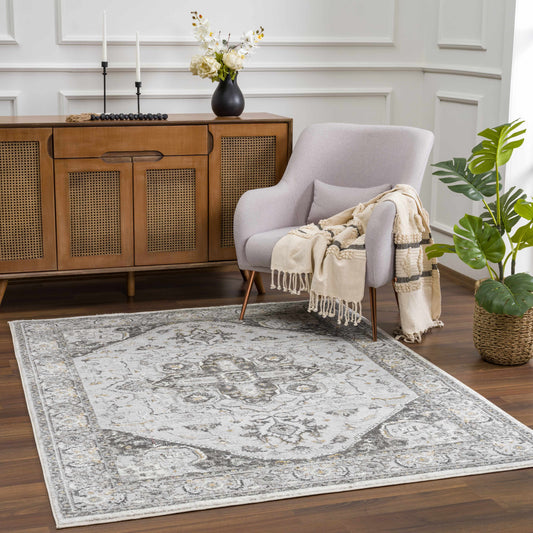 Liverpool Light Gray Area Rug - Clearance