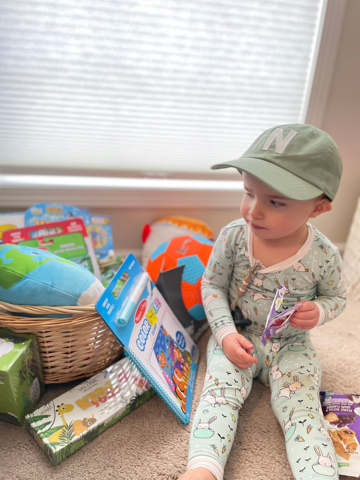 Dusty Sage Baseball Hat