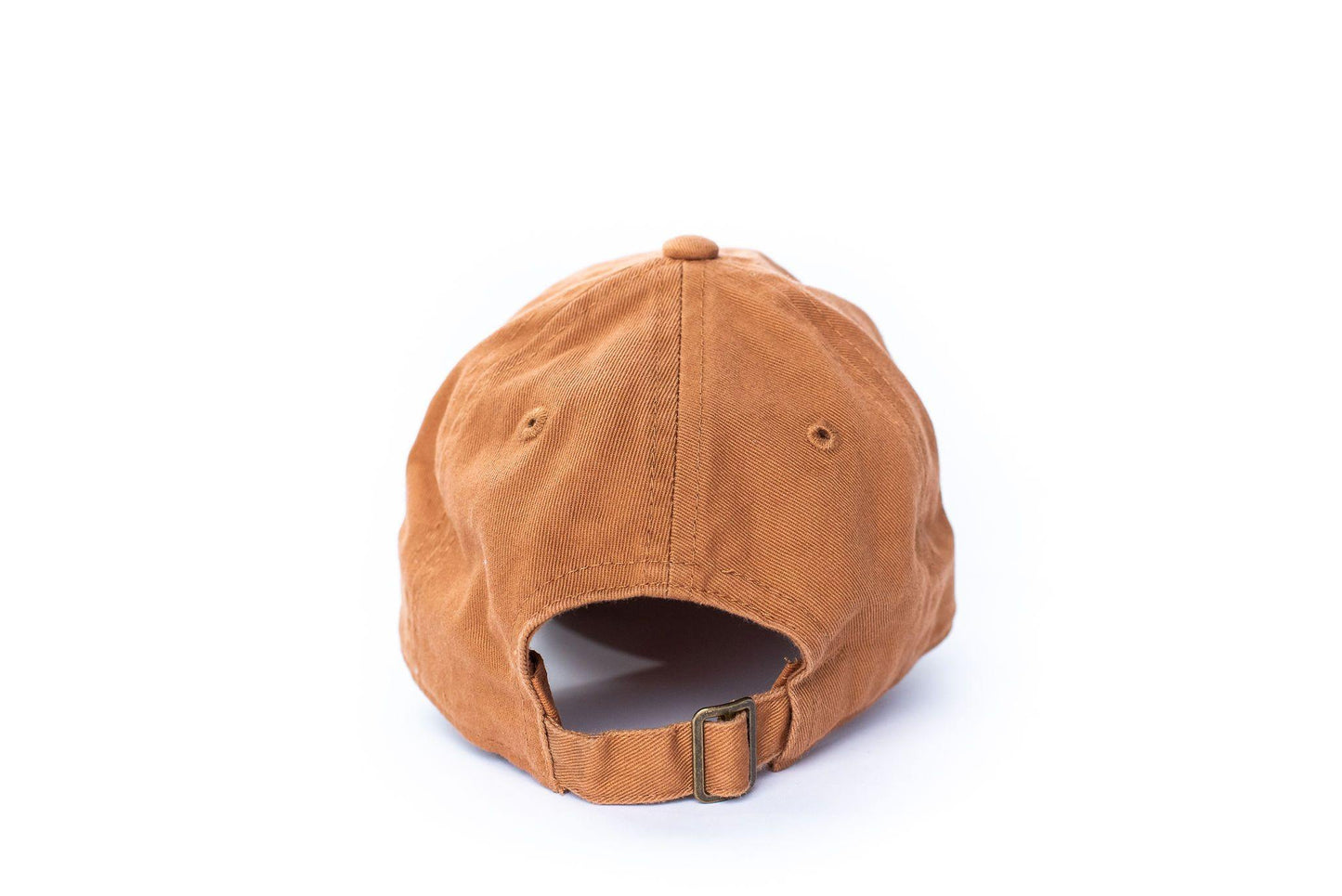 Terra Cotta Dad Hat