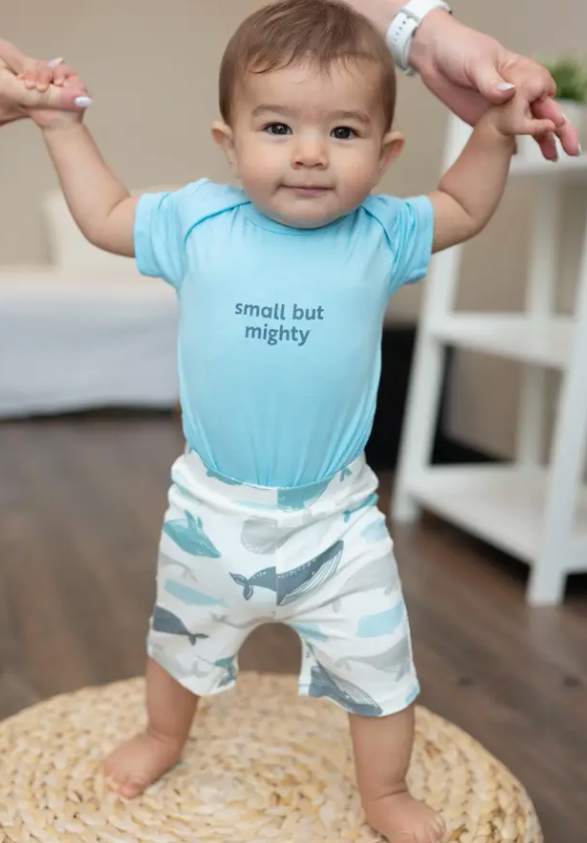 Bamboo Short Sleeve Onesie & Shorts Set